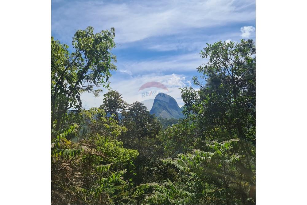 Terreno - Venda - Petrópolis , Rio de Janeiro - 20250101_093804.jpg - 630131068-35