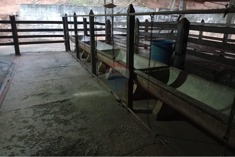 Chácara / Sítio / Fazenda - Venda - Duas Barras , Rio de Janeiro - 75.jpg - 630171001-39