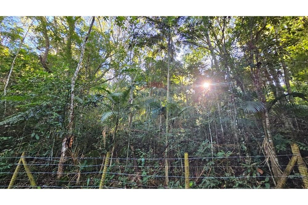 Terreno - Venda - Teresópolis , Rio de Janeiro - WhatsApp Image 2023-07-10 at 13.48.12 (2).jpeg - 630191096-4