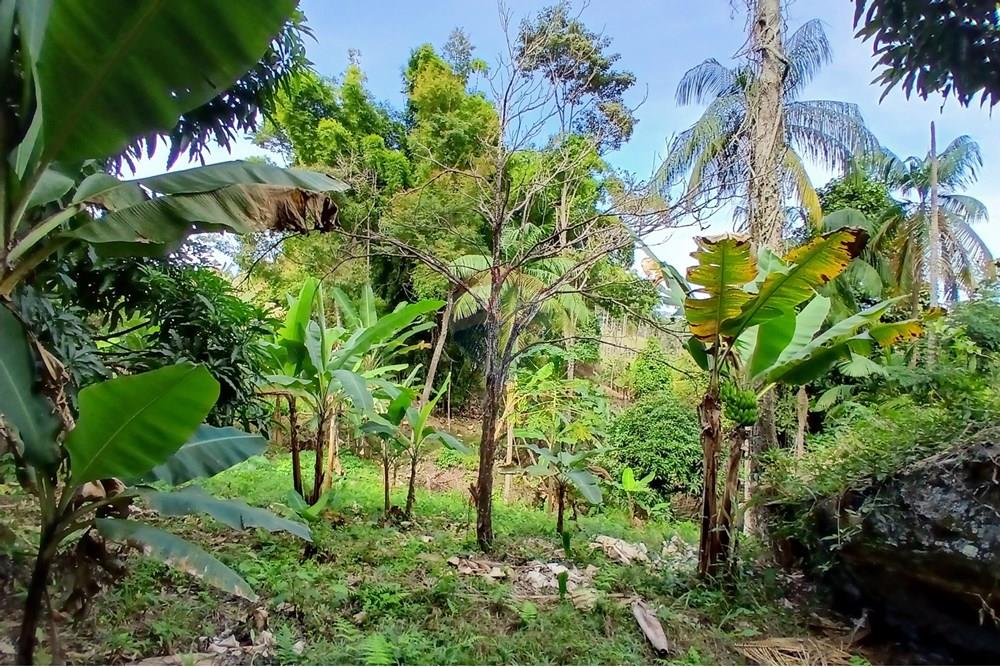 Chácara / Sítio / Fazenda - Venda - Sumidouro , Rio de Janeiro - 20250614_112436.jpg - 630551084-18