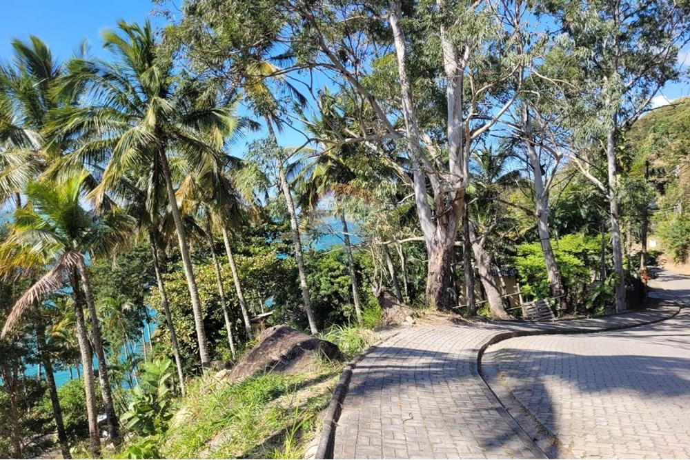 Terreno - Venda - Ilhabela , São Paulo - WhatsApp Image 2025-08-17 at 14.01.44 (2).jpeg - 690881023-41