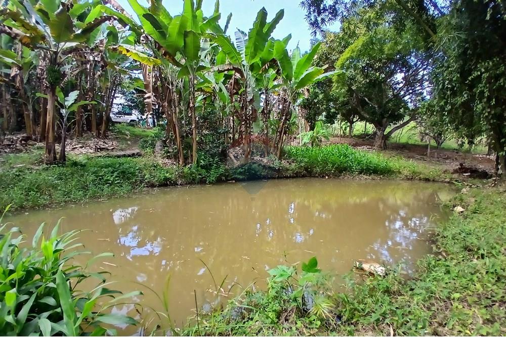 Chácara / Sítio / Fazenda - Venda - Sumidouro , Rio de Janeiro - 20250614_112710.jpg - 630551084-18