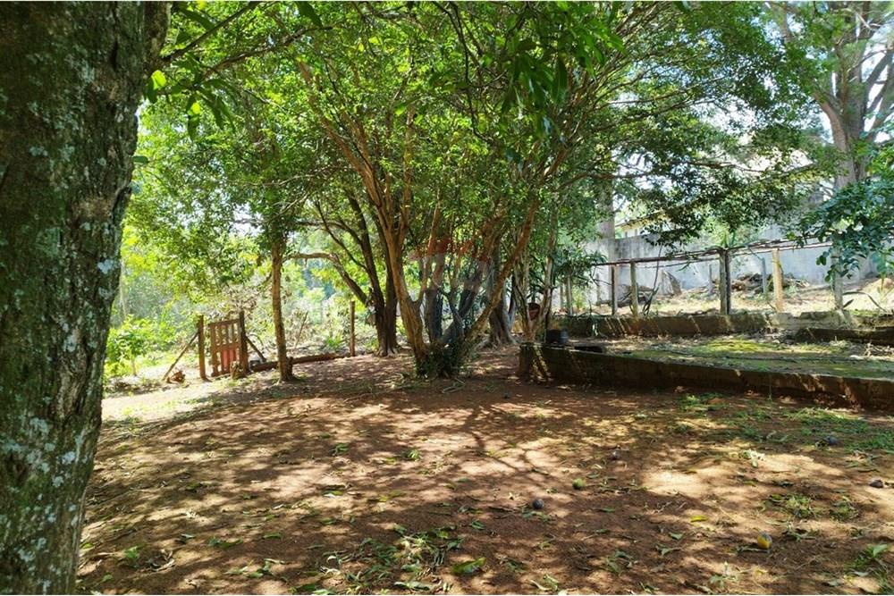 Chácara / Sítio / Fazenda - Venda - Cabreúva , São Paulo - WhatsApp Image 2025-01-07 at 15.47.08.jpeg - 630531012-40