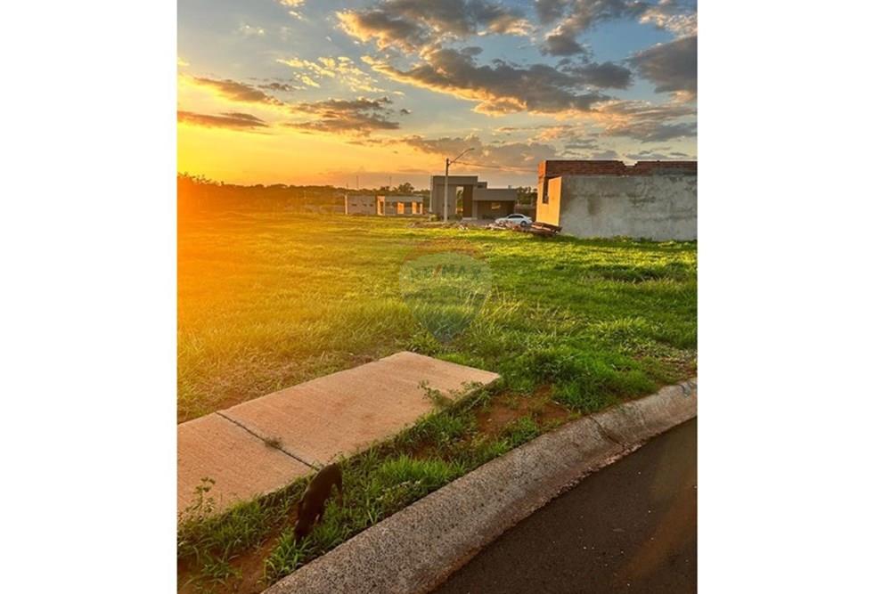 Terreno - Venda - Araçatuba , São Paulo - WhatsApp Image 2024-11-18 at 11.19.39.jpeg - 630541038-22