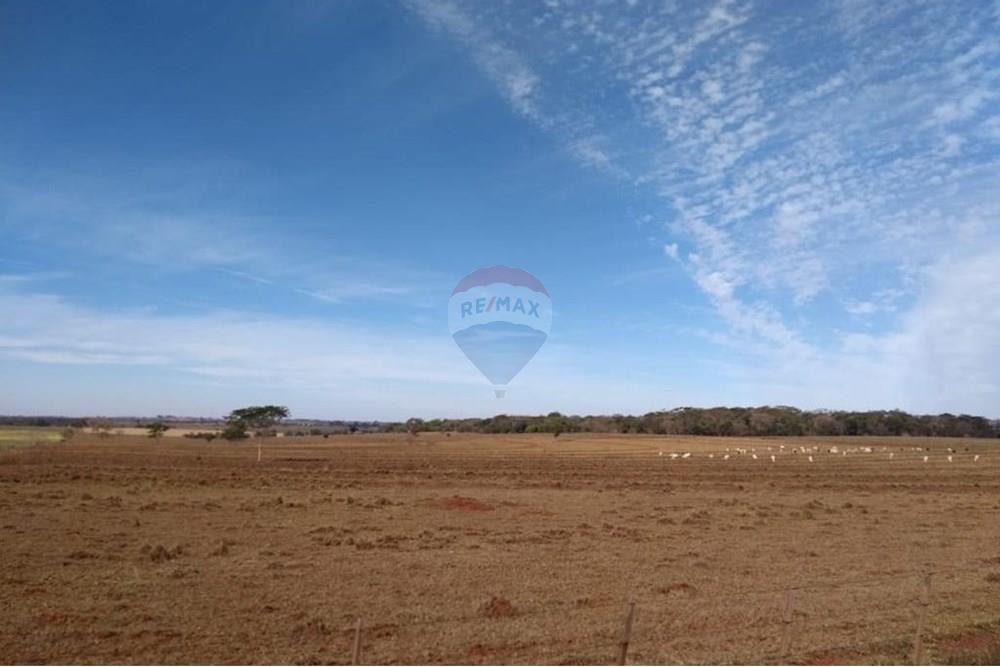 Chácara / Sítio / Fazenda - Venda - Pereira Barreto , São Paulo - WhatsApp Image 2024-11-04 at 19.54.14 (1).jpeg - 630541038-15