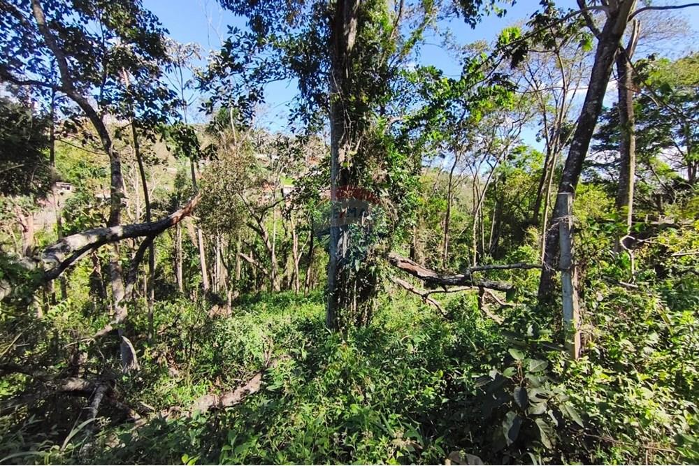 Terreno - Venda - Mairiporã , São Paulo - Terreno rafael 12.jpg - 631361069-8