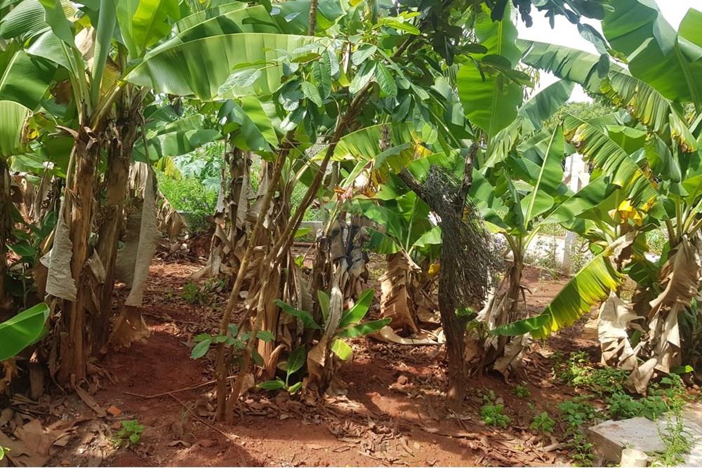 Casa - Venda - Botucatu , São Paulo - WhatsApp Image 2024-11-28 at 09.14.49 (1).jpeg - 630481097-136