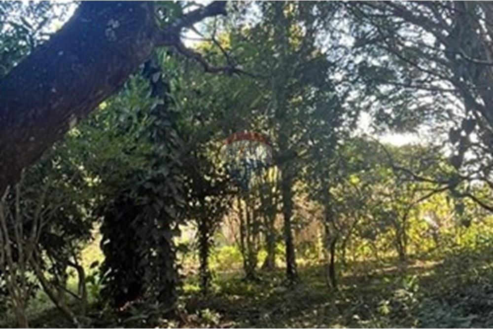 Chácara / Sítio / Fazenda - Venda - Araçoiaba da Serra , São Paulo - WhatsApp Image 2025-07-22 at 16.37.11 (2).jpeg - 630591061-125