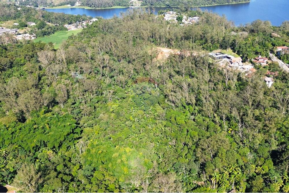 Terreno - Venda - Ribeirão Pires , São Paulo - 6.jpg - 631371011-64