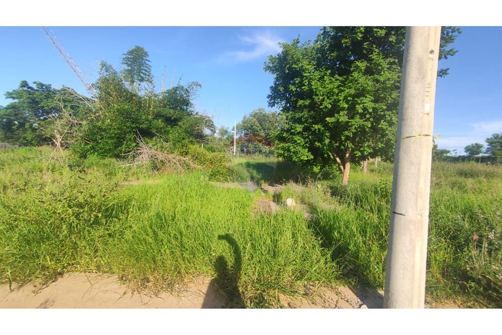 Casa - Venda - Andradina , São Paulo - WhatsApp Image 2025-02-21 at 08.42.30 (2).jpeg - 631201044-136