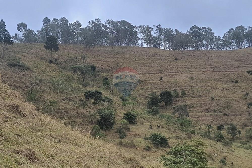 Fazenda - Venda - Teresópolis , Rio de Janeiro - 20250702_154518.jpg - 630191078-25