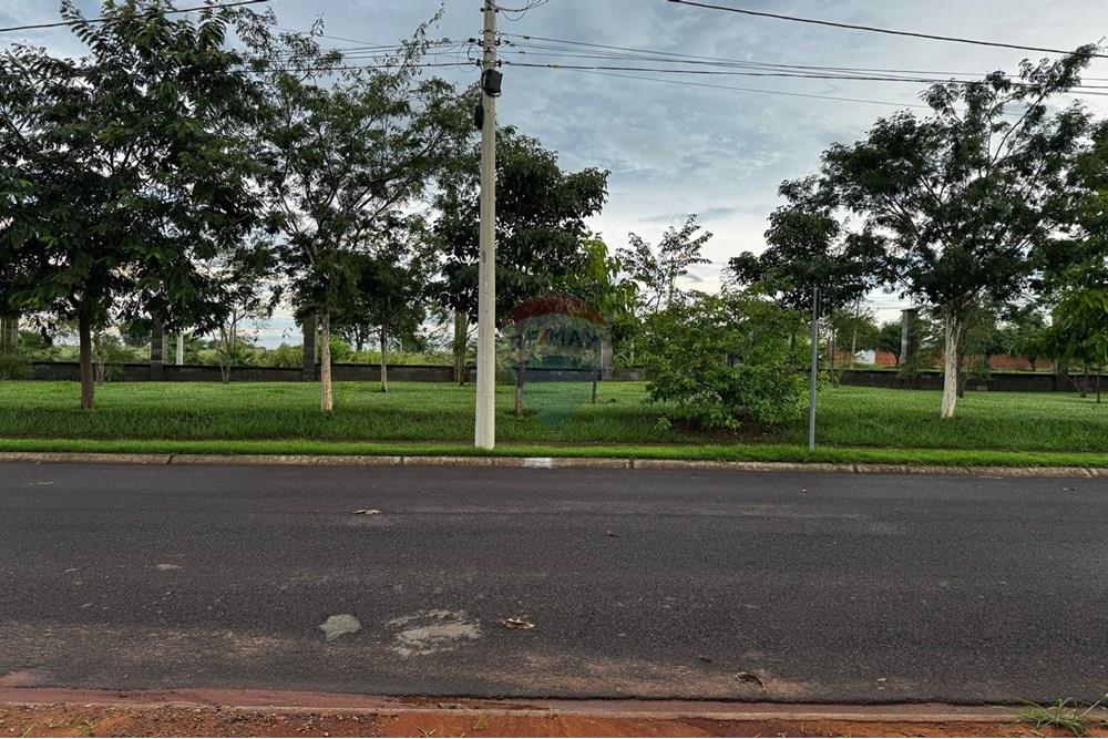 Terreno - Venda - Araçatuba , São Paulo - c886cb0e-650d-4c09-a6ce-5cb2d99c75ab.jpg - 630541007-100