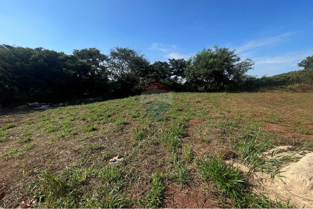 Terreno - Venda - São José do Rio Preto , São Paulo - IMG_7253.JPG - 630401028-47