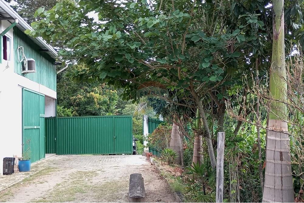 Galpão - Venda - Bom Jardim , Rio de Janeiro - WhatsApp Image 2025-03-13 at 13.00.53.jpeg - 630171008-19