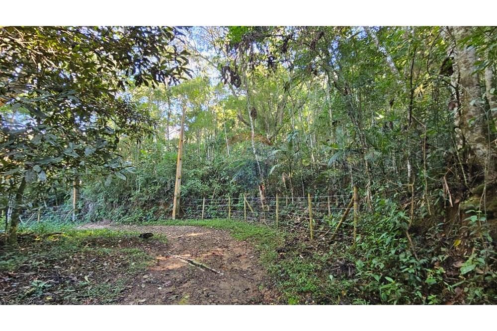 Terreno - Venda - Teresópolis , Rio de Janeiro - WhatsApp Image 2023-07-10 at 13.48.12 (1).jpeg - 630191096-4