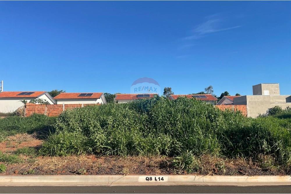 Terreno - Venda - Bady Bassitt , São Paulo - WhatsApp Image 2025-01-14 at 17.34.39.jpeg - 631481002-92