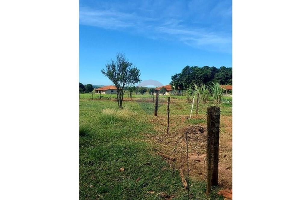 Chácara / Sítio / Fazenda - Venda - Araçatuba , São Paulo - WhatsApp Image 2024-10-29 at 14.36.53 (1).jpeg - 630541038-37