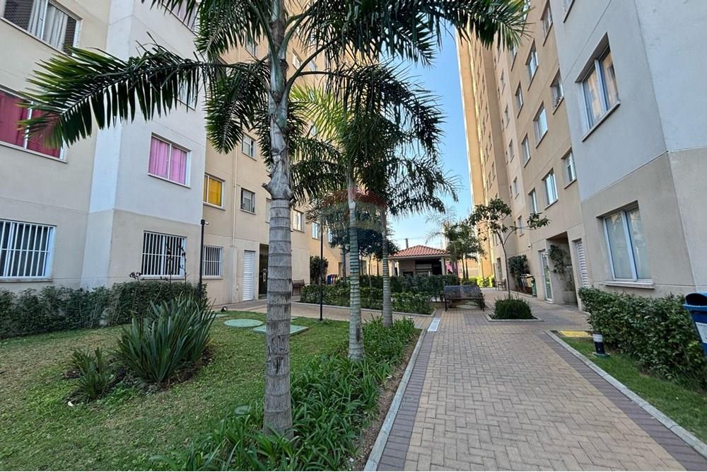 Apartamento - Venda - São Paulo , São Paulo - WhatsApp Image 2025-06-01 at 06.16.44.jpeg - 630251062-120