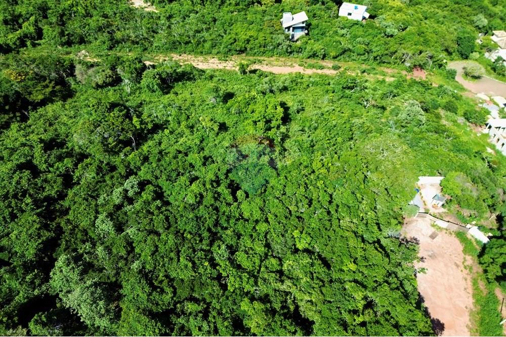 Terreno - Venda - Armação dos Búzios , Rio de Janeiro - DJI_0381.JPG - 630391022-54