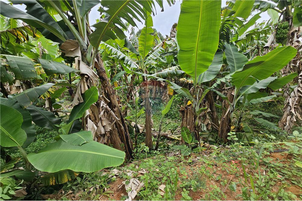 Terreno - Venda - Nova Friburgo , Rio de Janeiro - 31 - 630551016-143