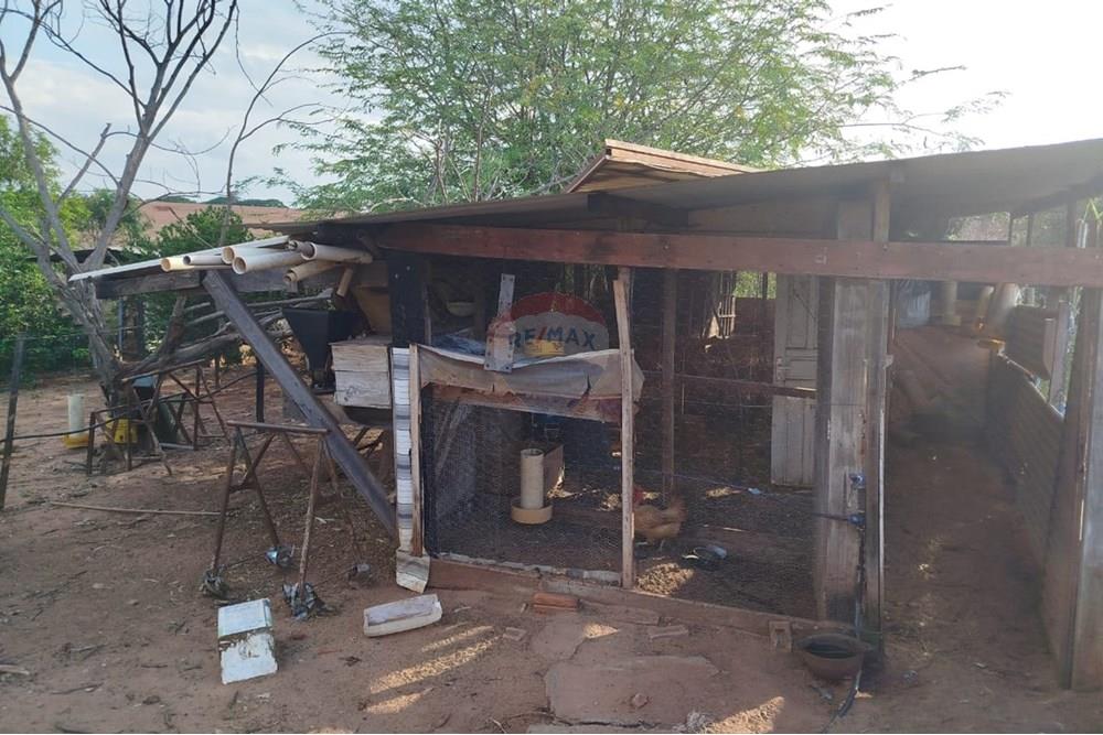 Chácara / Sítio / Fazenda - Venda - Tupã , São Paulo - IMG-20241205-WA0079.jpg - 630151002-125