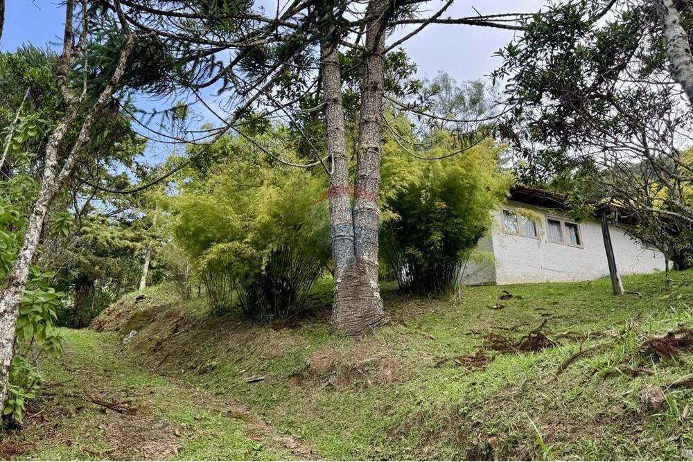 Chácara / Sítio / Fazenda - Venda - Nova Friburgo , Rio de Janeiro - IMG_7605 (1).jpg - 630551037-31