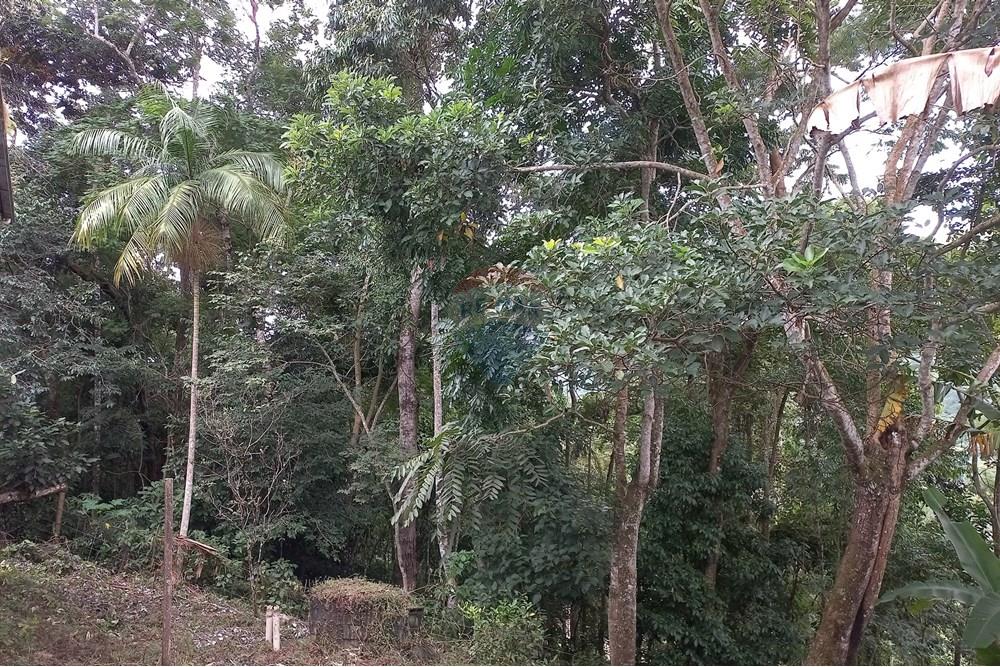 Casa - Venda - Nova Friburgo , Rio de Janeiro - 61.jpg - 630551089-1