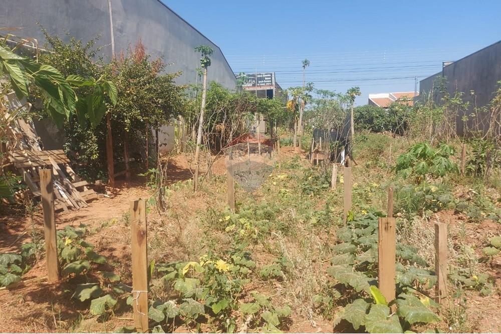 Terreno - Venda - Presidente Prudente , São Paulo - WhatsApp Image 2025-10-02 at 13.02.27 (3).jpeg - 630861066-6