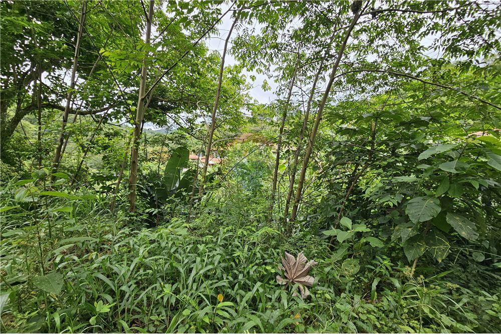Terreno - Venda - Nova Friburgo , Rio de Janeiro - 25 - 630551016-143