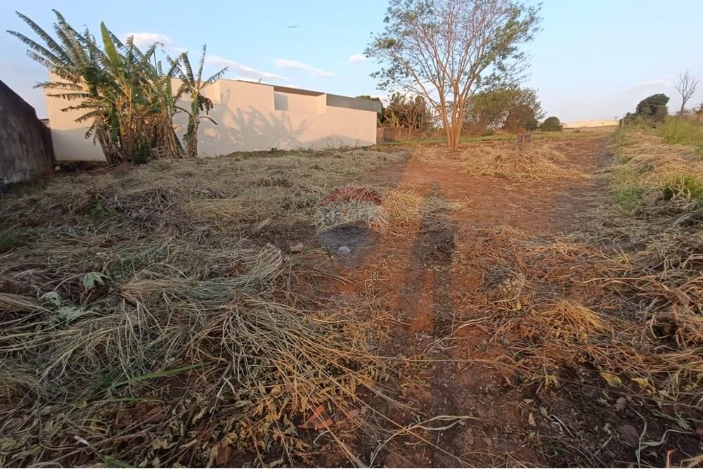 Terreno - Venda - Lins , São Paulo - Imagem do WhatsApp de 2025-10-02 à(s) 21.23.44_e0eb109a.jpg - 630511023-52