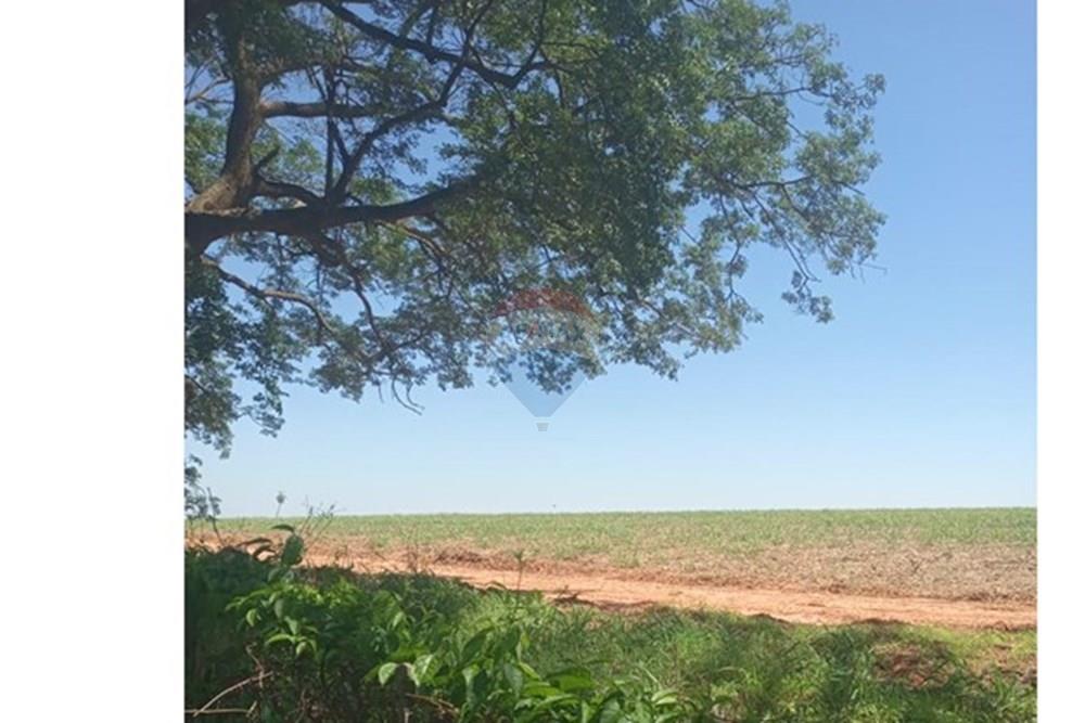 Chácara / Sítio / Fazenda - Venda - Valentim Gentil , São Paulo - WhatsApp Image 2024-11-17 at 09.37.10 (1).jpeg - 630541038-19