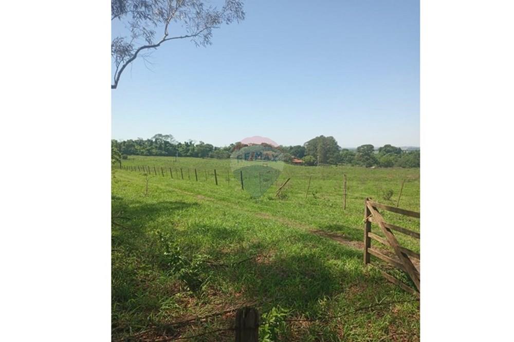 Chácara / Sítio / Fazenda - Venda - Valentim Gentil , São Paulo - WhatsApp Image 2024-11-17 at 09.37.09 (2).jpeg - 630541038-19