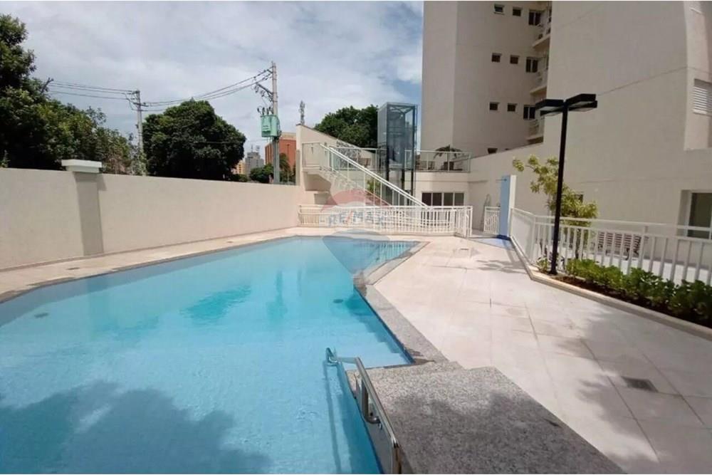 Apartamento - Alugar - Araçatuba , São Paulo - 22A.jpg - 630541055-10