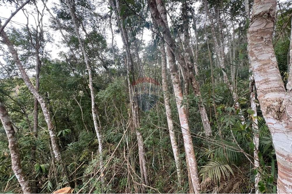 Terreno - Venda - Teresópolis , Rio de Janeiro - IMG-20250715-WA0006.jpg - 630191078-34