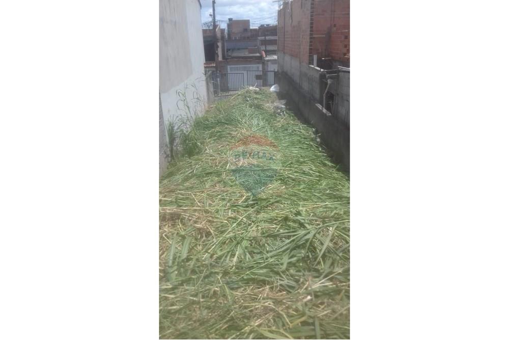 Terreno - Venda - Poá , São Paulo - WhatsApp Image 2025-05-19 at 12.24.11.jpeg - 631531014-4