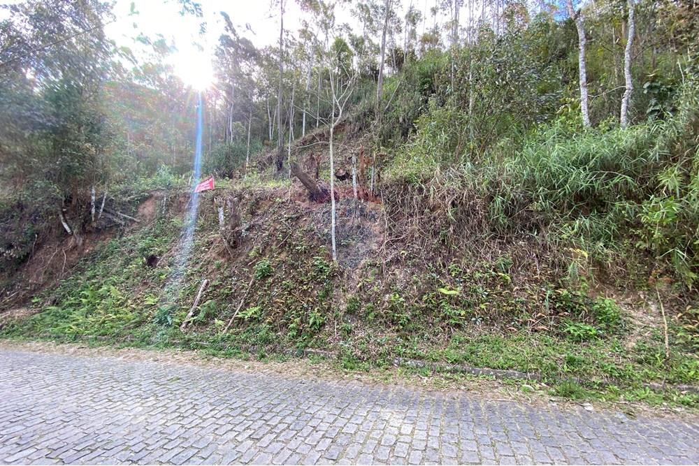 Terreno - Venda - Nova Friburgo , Rio de Janeiro - IMG_3629.JPG - 630551061-84