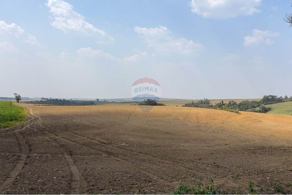 Terreno - Venda - Boituva , São Paulo - IMG_3596_DNG.jpg - 630601137-110
