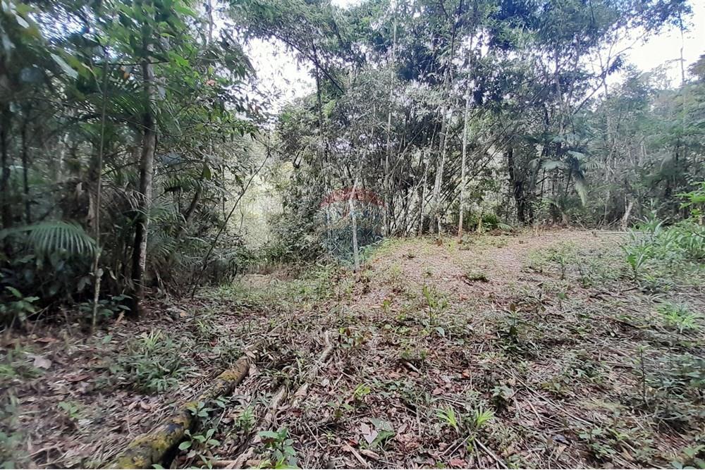 Terreno - Venda - Teresópolis , Rio de Janeiro - 20251012_092437.jpg - 630191084-20