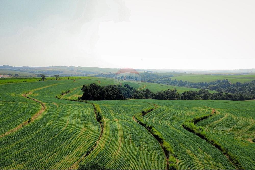 Terreno - Venda - Boituva , São Paulo - Loteamento - Boituva - 2.jpg - 630601137-102