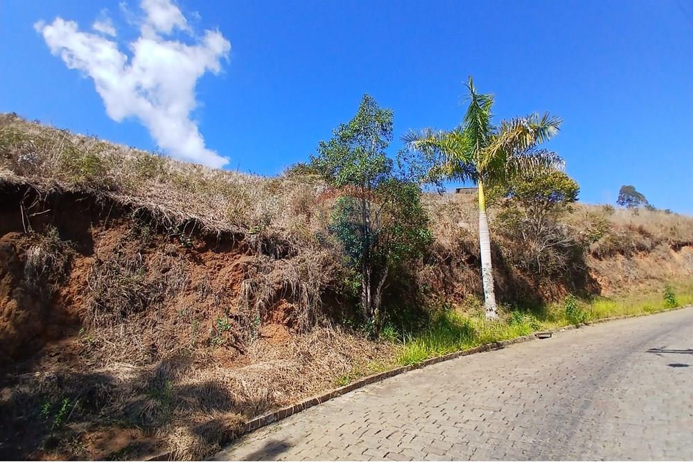 Terreno - Venda - Nova Friburgo , Rio de Janeiro - 20250814_101323.jpg - 630551084-22