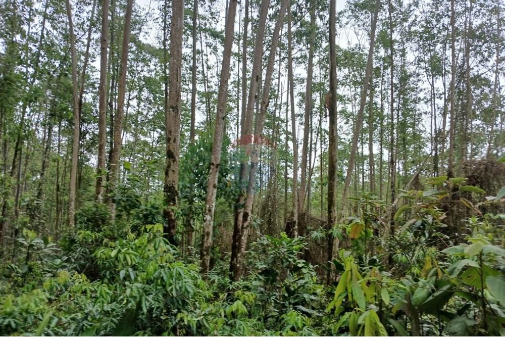 Terreno - Venda - Mogi das Cruzes , São Paulo - WhatsApp Image 2024-11-11 at 11.58.49.jpeg - 631541001-10