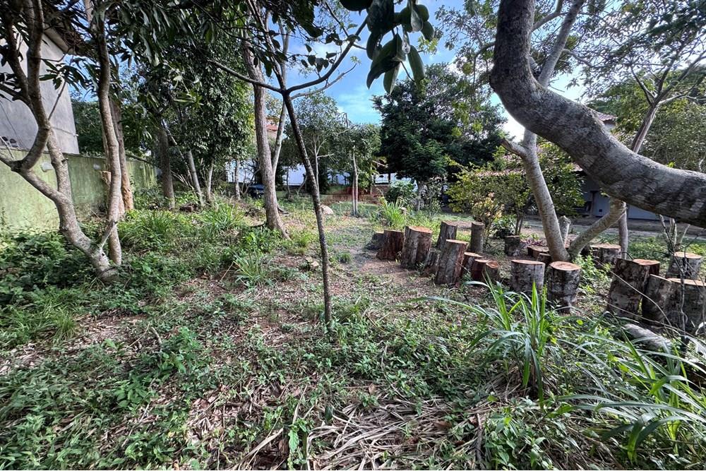 Terreno - Venda - Armação dos Búzios , Rio de Janeiro - Cópia de IMG_6734.JPG - 630391151-2