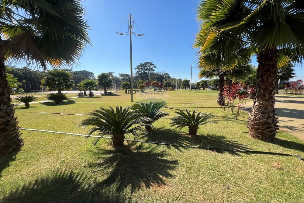 Terreno - Venda - Birigui , São Paulo - IMG_0623.jpg - 630851048-14