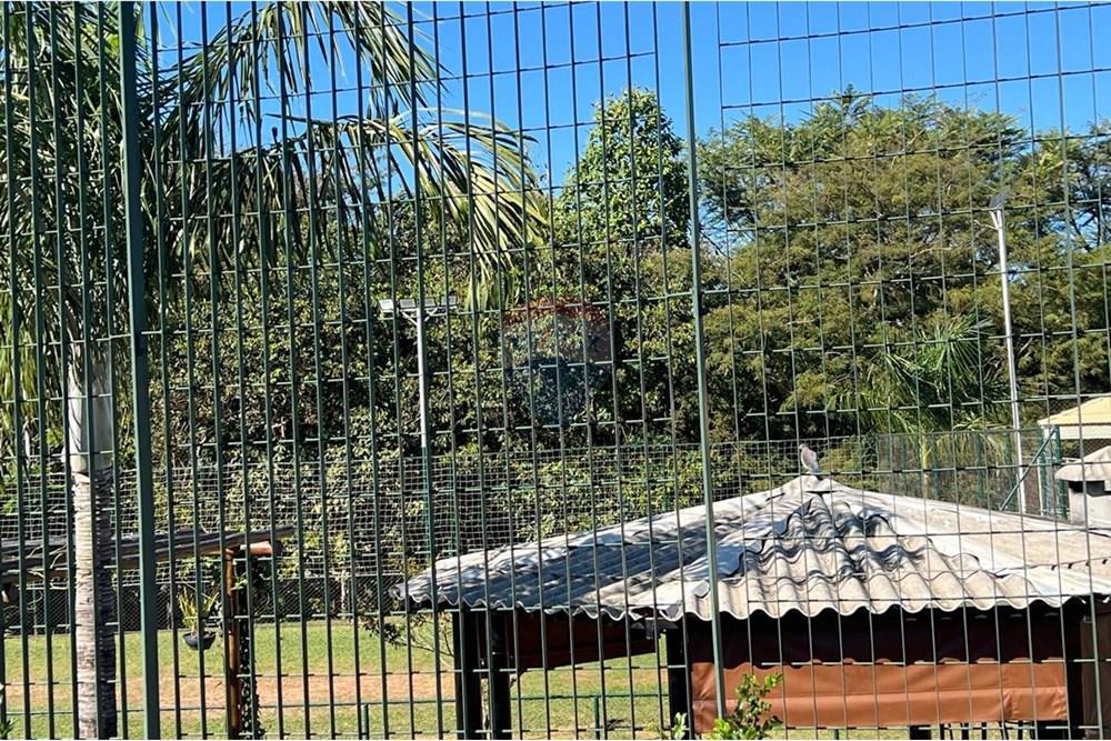 Casa de Condomínio - Venda - São José do Rio Preto , São Paulo - cd8c2c53-811d-4fe5-81c3-d39cf007fbb2.jpeg - 631481003-234