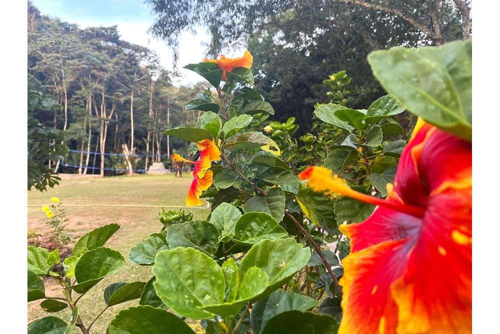 Chácara / Sítio / Fazenda - Venda - Miguel Pereira , Rio de Janeiro - IMG_2593.JPG - 631261002-81