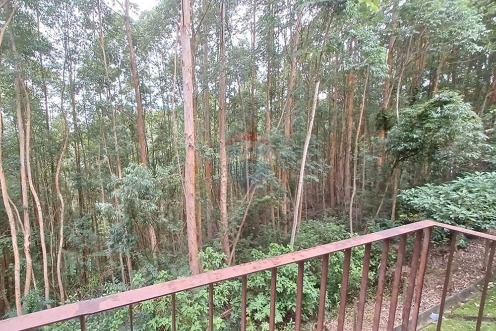 Apartamento - Venda - Nova Friburgo , Rio de Janeiro - b0cc82bb-7348-4c89-a6c4-6d8b467120f3.jpg - 630551049-28