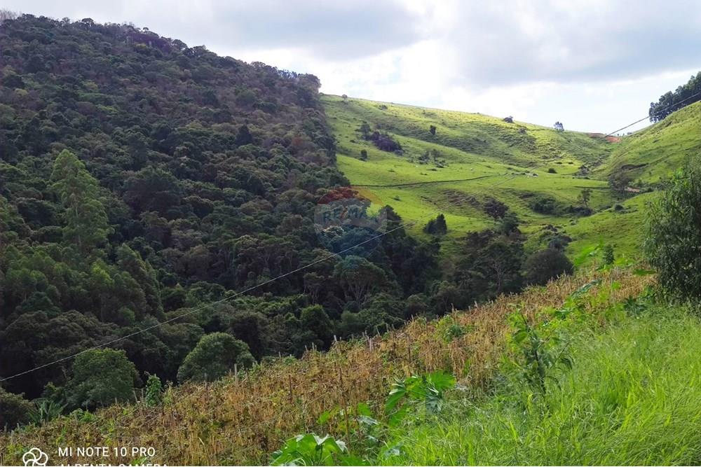 Chácara / Sítio / Fazenda - Venda - Toledo , Minas Gerais - WhatsApp Image 2025-02-28 at 19.59.31 (1).jpeg - 630251077-56