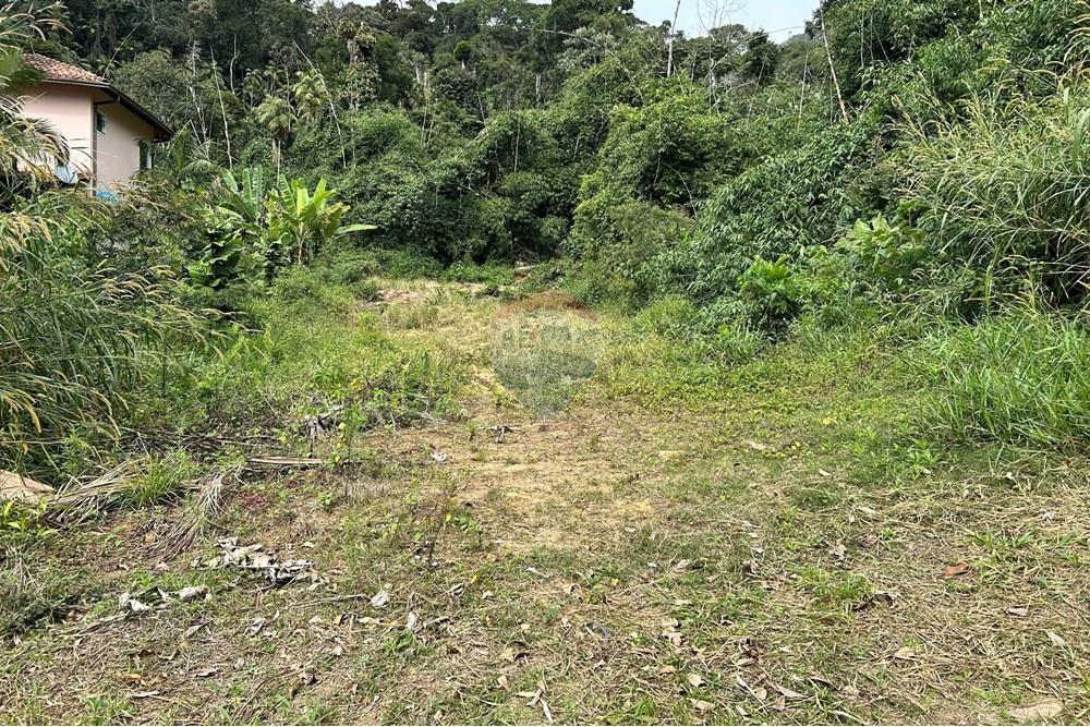 Terreno - Venda - Nova Friburgo , Rio de Janeiro - IMG_6111 (1).jpg - 630551016-151