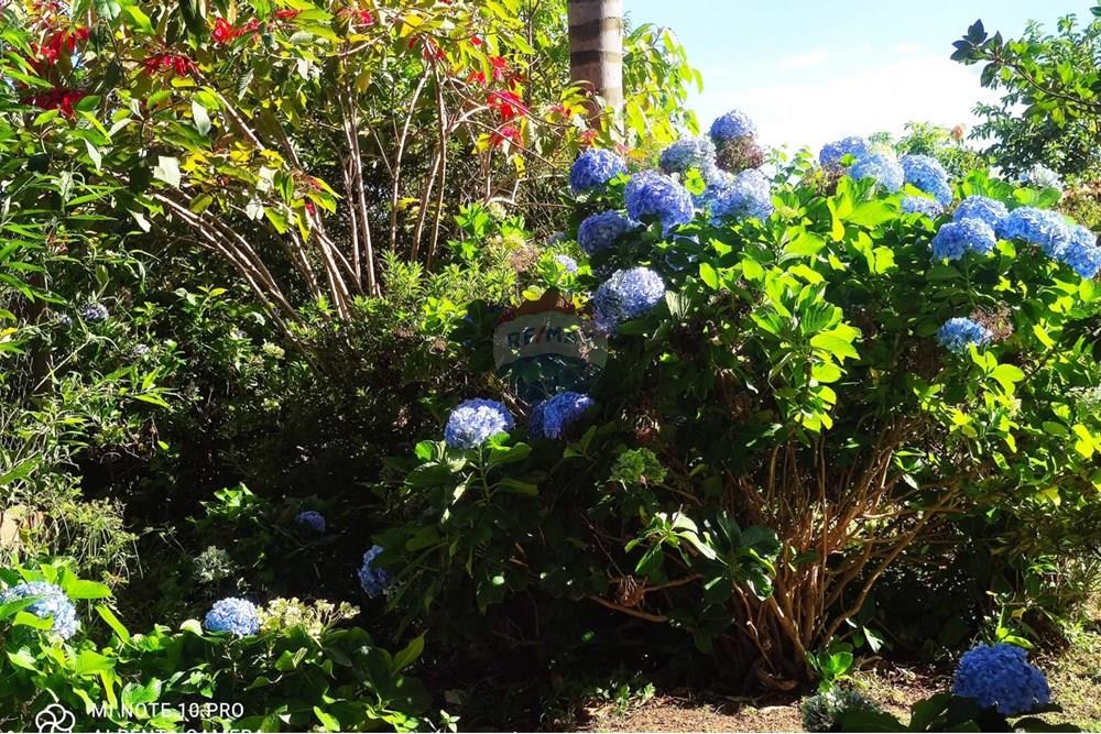 Chácara / Sítio / Fazenda - Venda - Toledo , Minas Gerais - WhatsApp Image 2025-02-28 at 19.58.06 (1).jpeg - 630251077-56