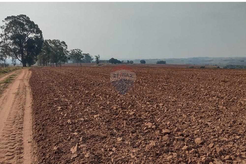 Chácara / Sítio / Fazenda - Venda - Tupã , São Paulo - WhatsApp Image 2024-10-18 at 20.43.08 (4).jpeg - 630541038-17